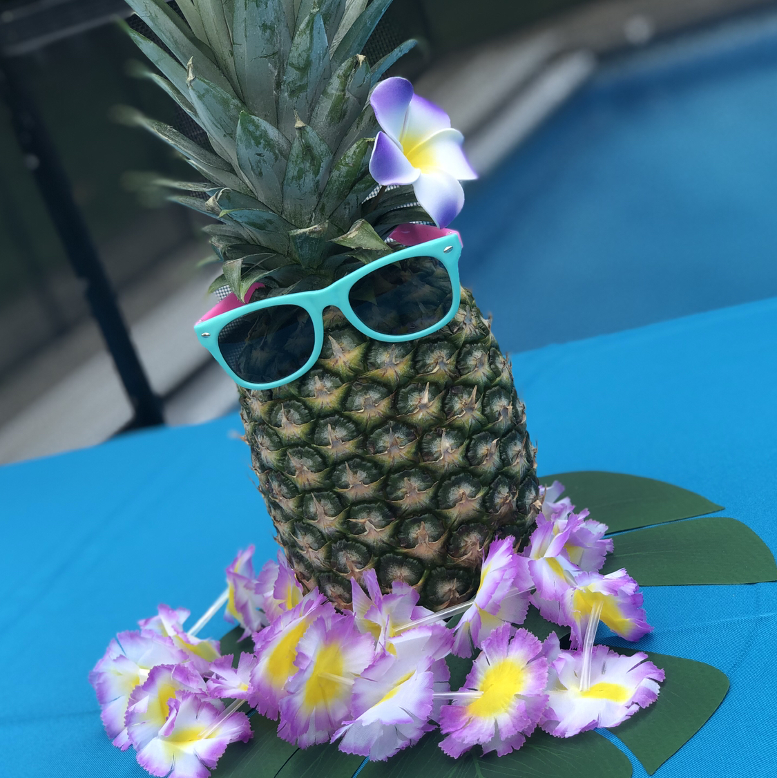 Avatar for @Nolley89 on Greg, the plant care app