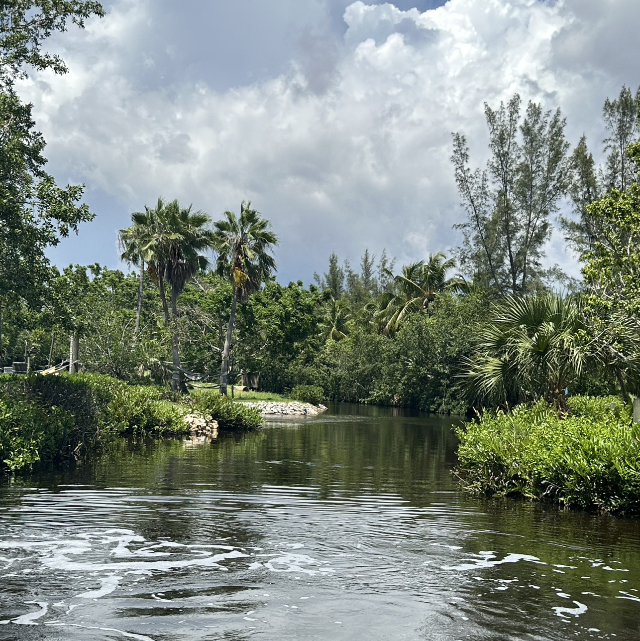 Avatar for @DynamoBlueoak25 on Greg, the plant care app