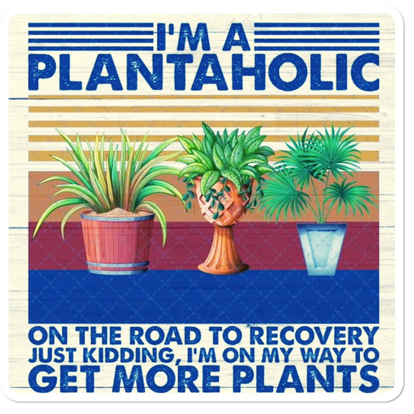 @Lillyvanilli avatar