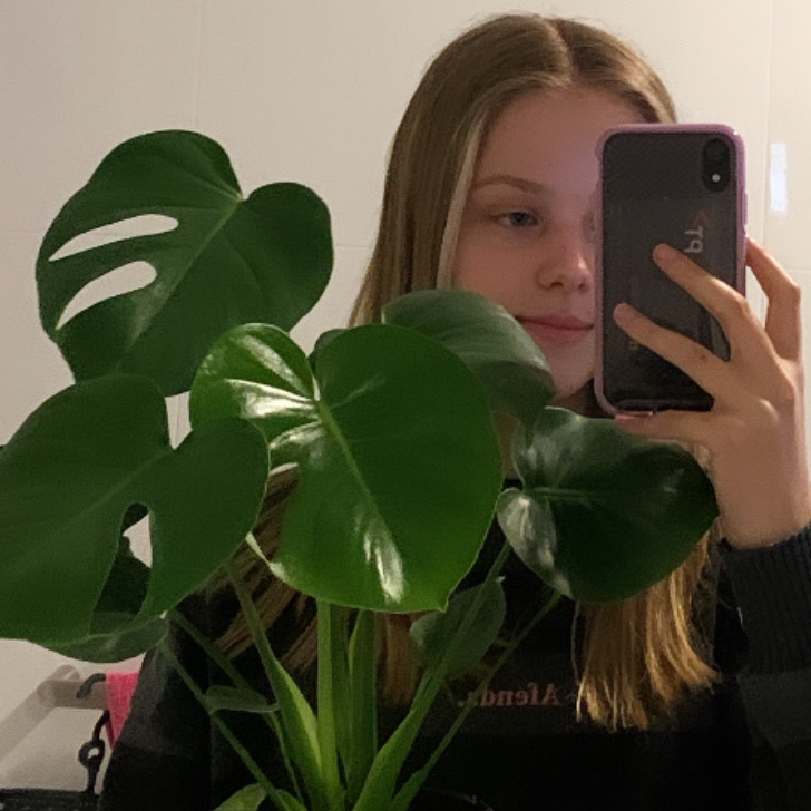 Avatar for @reneed on Greg, the plant care app