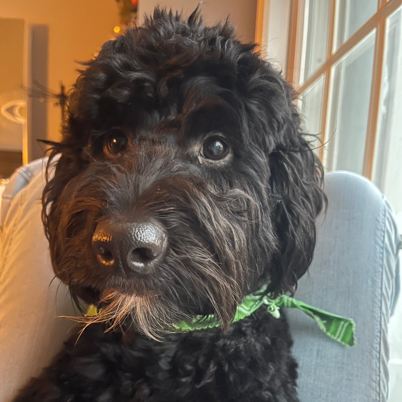 @LiteraryAgarito avatar