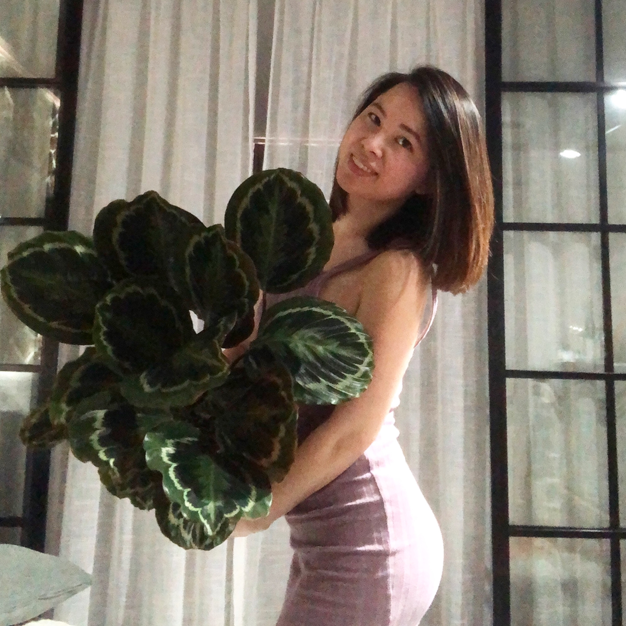 Avatar for @greenspirationWUSH on Greg, the plant care app