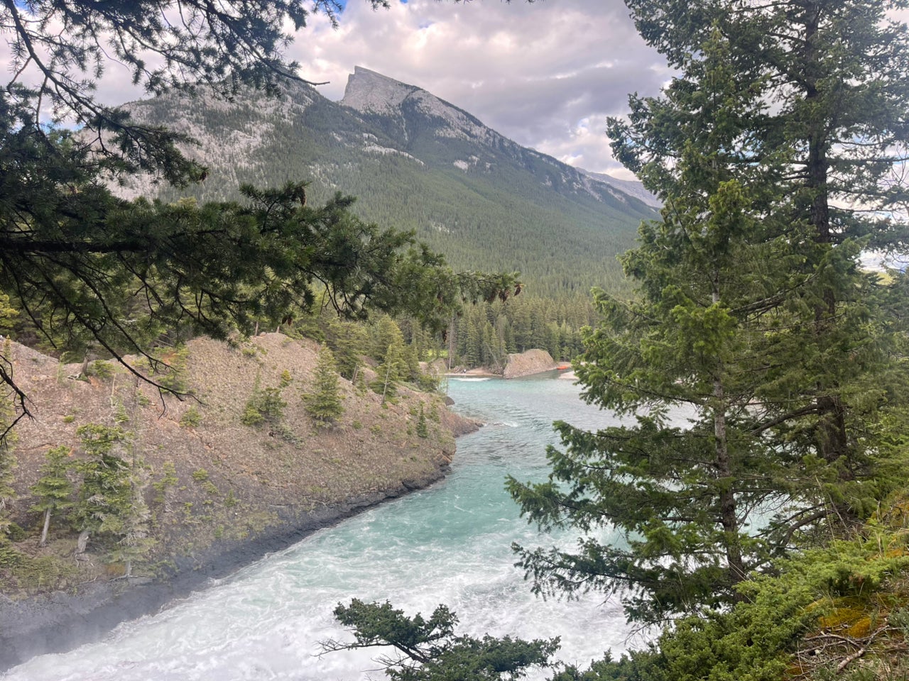 Avatar for @PatientPomelo92 on Greg, the plant care app