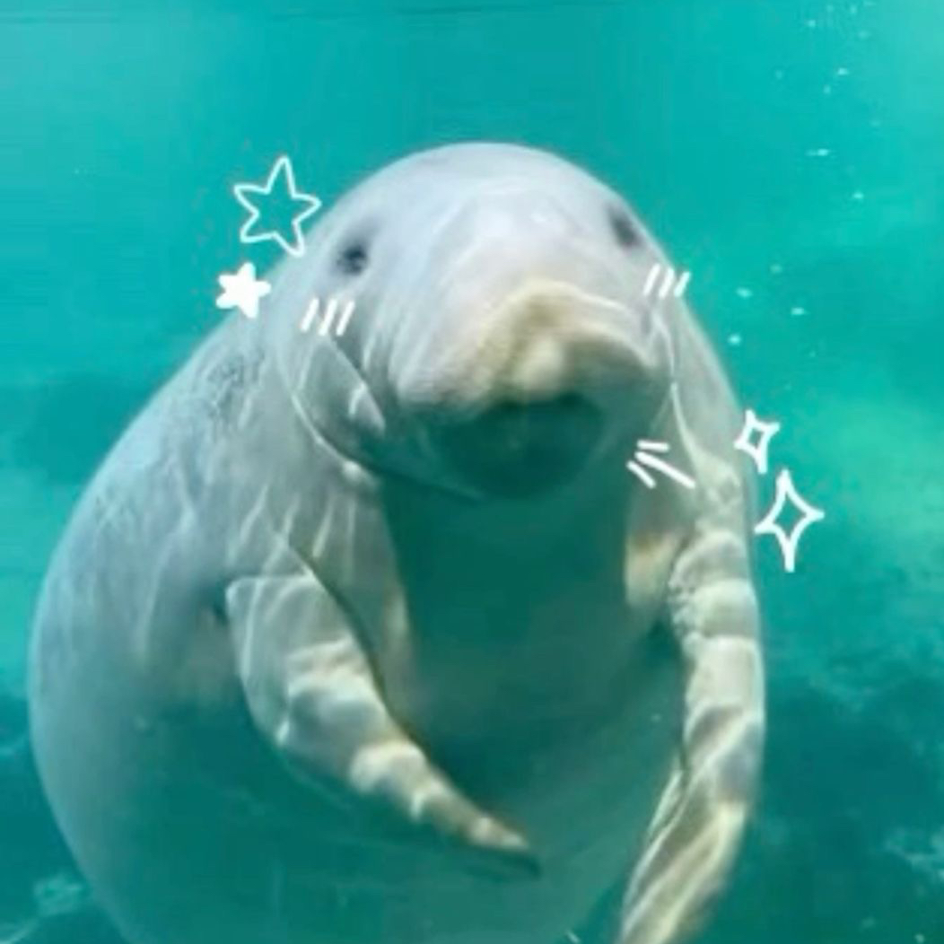 Avatar for @Silly_Goober on Greg, the plant care app