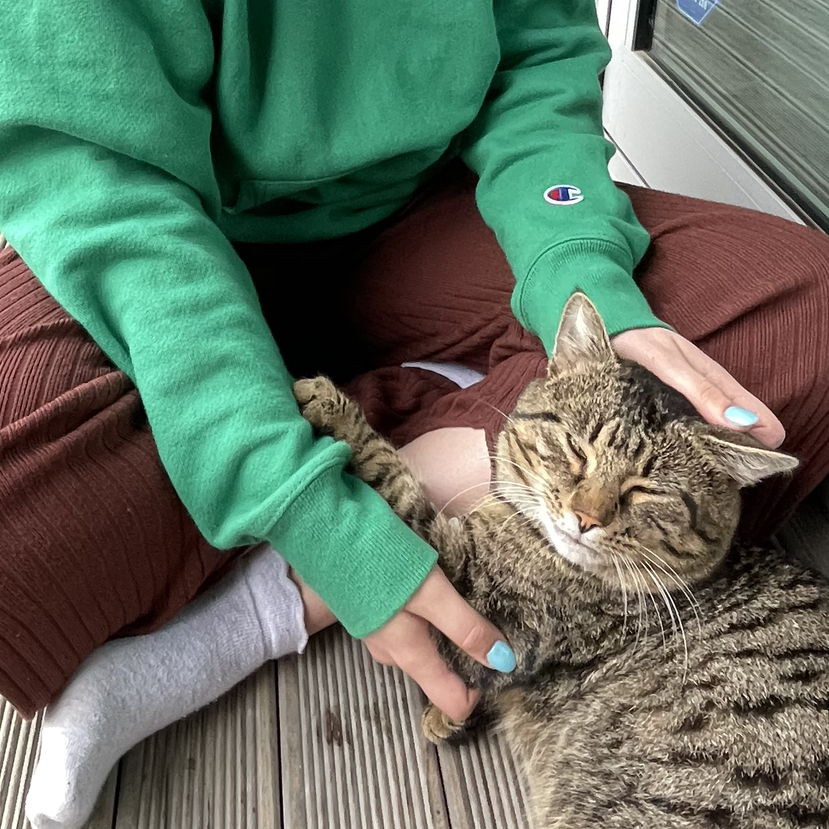 Avatar for Emily on Greg, the plant care app