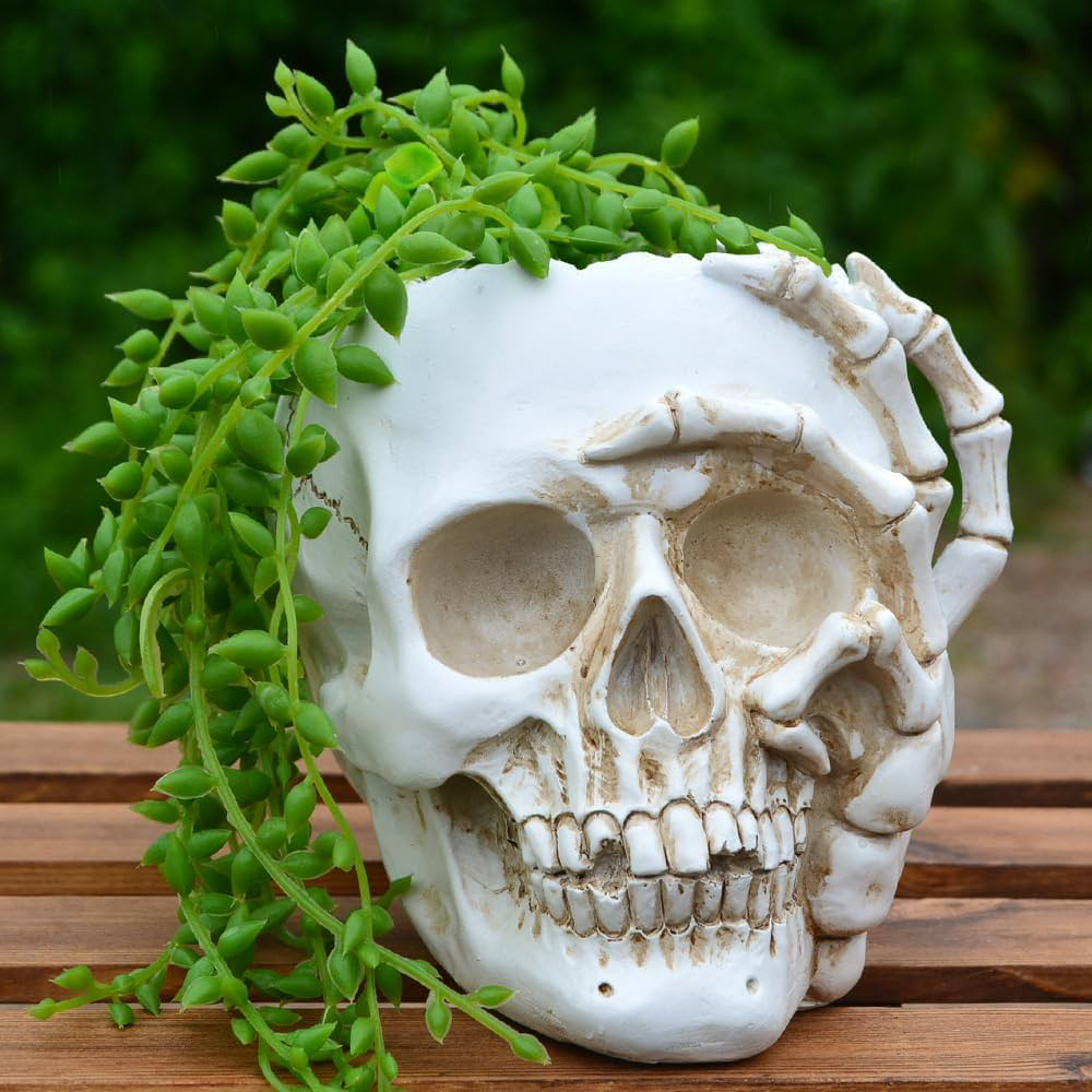 Avatar for @MainerMama17 on Greg, the plant care app