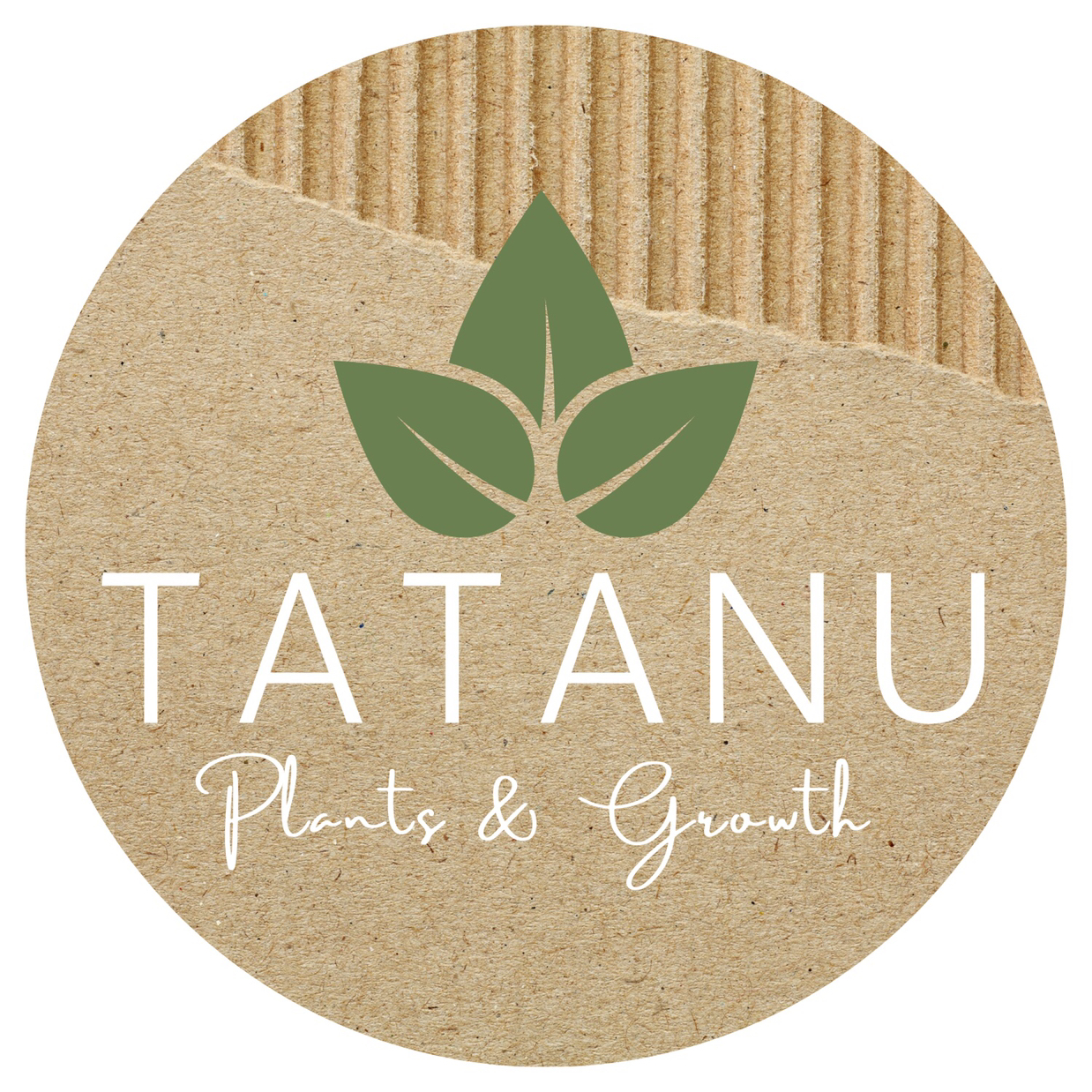 @tatanuofficial avatar