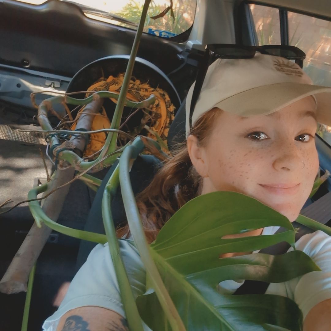 Avatar for @FreshMelon16 on Greg, the plant care app