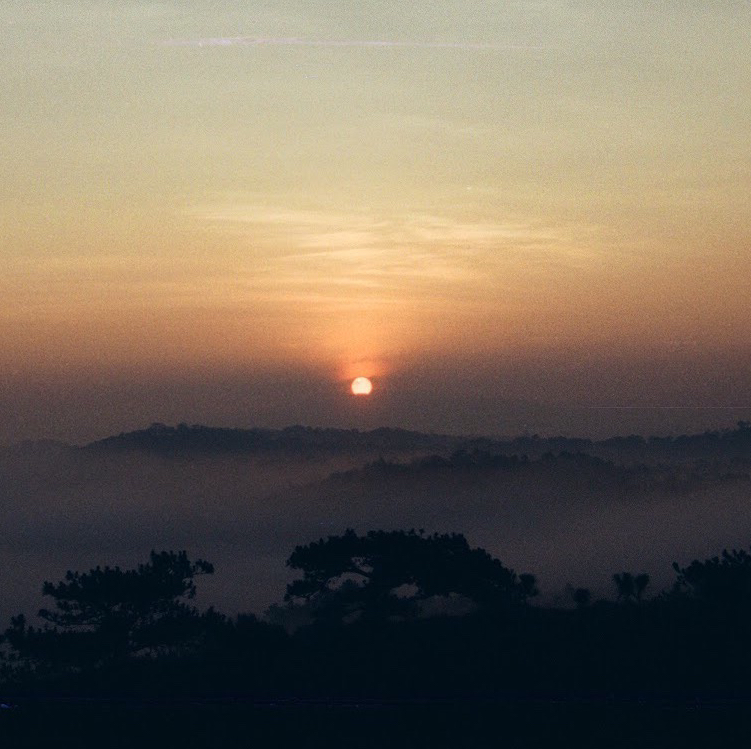 Avatar for @ngaanvo on Greg, the plant care app