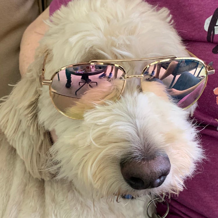 @YesWaiuatua7 avatar