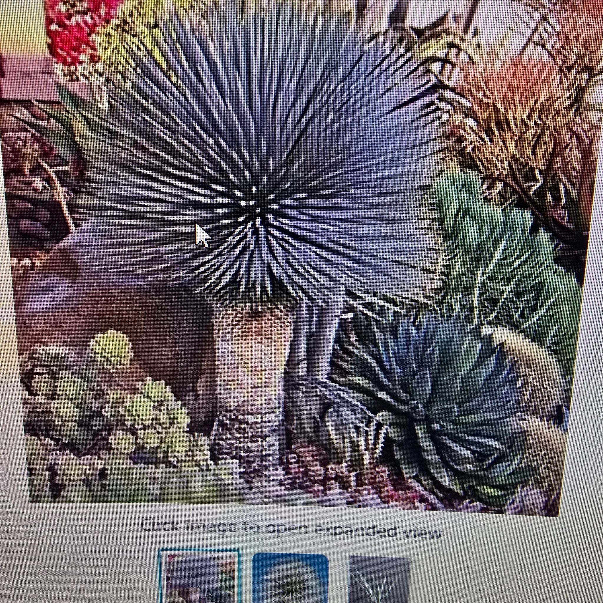 Avatar for @ManyBarrenbrome on Greg, the plant care app