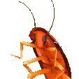 @LilypadSYL avatar