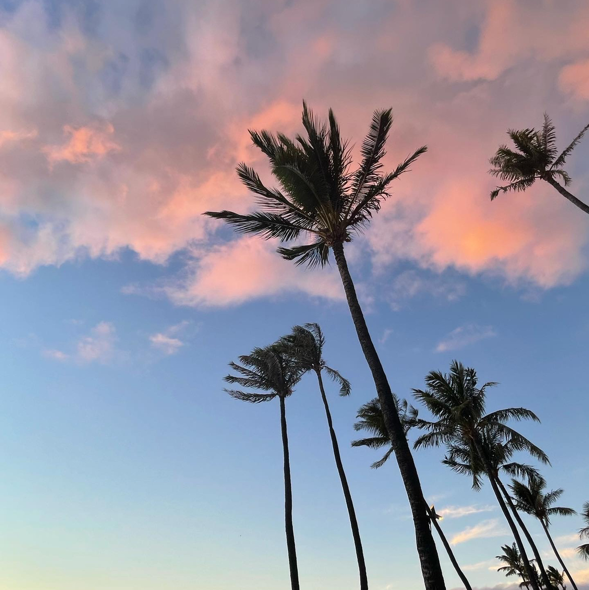 Avatar for Malinda on Greg, the plant care app