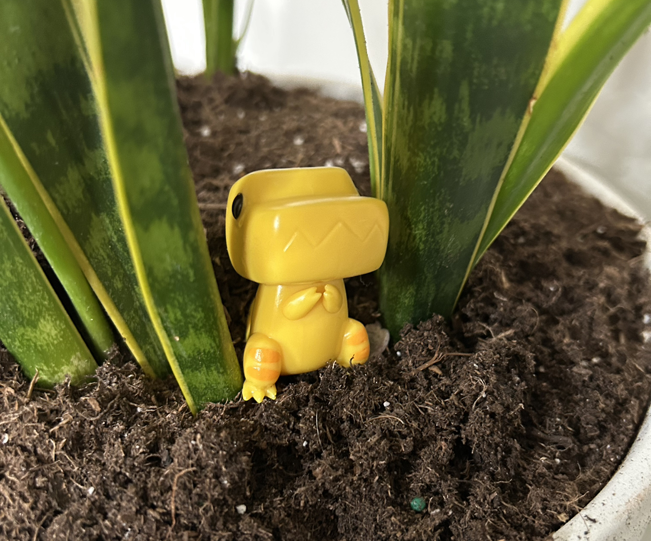 Avatar for @Birbiegurl on Greg, the plant care app