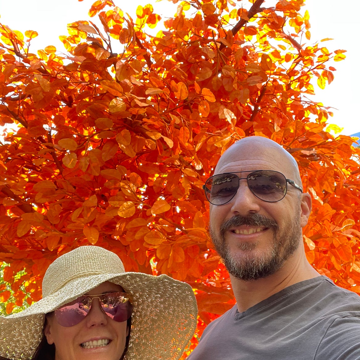 @CalitoCarolina avatar