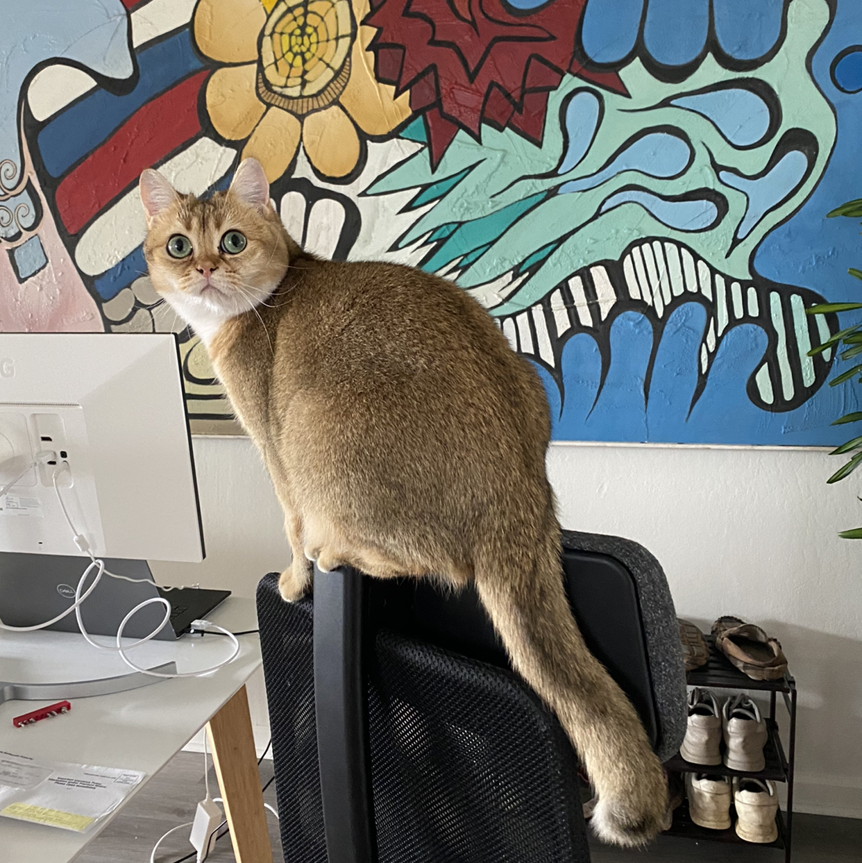 Avatar for @roma on Greg, the plant care app