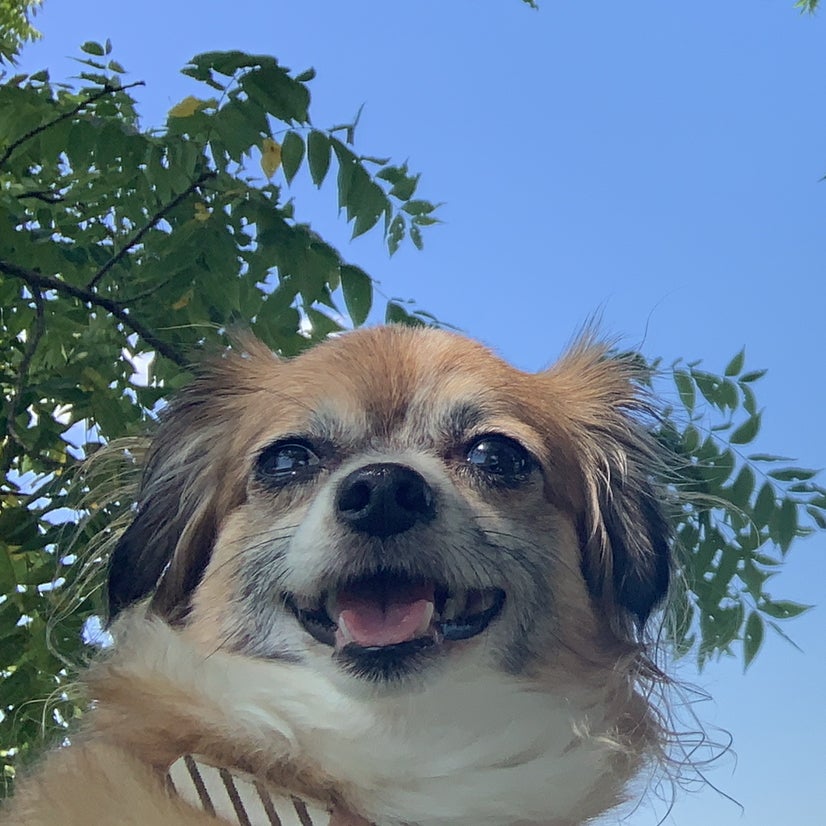 Avatar for @imgingerly on Greg, the plant care app