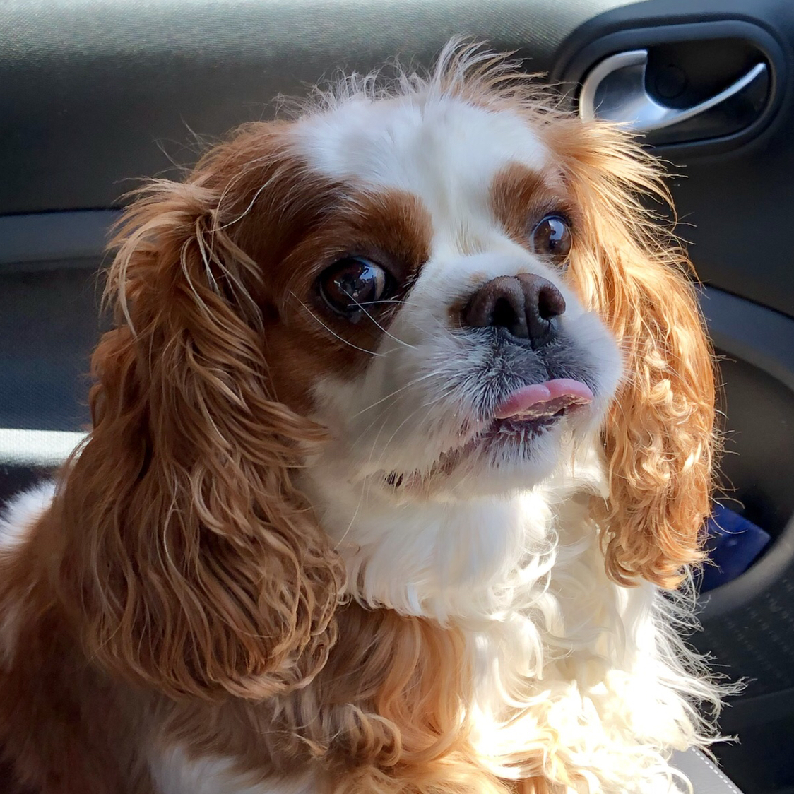 Avatar for @1987RAF on Greg, the plant care app