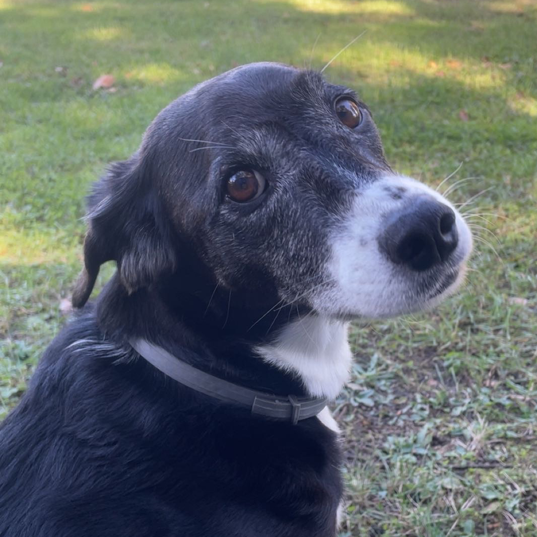 @PrettyPlant94 avatar