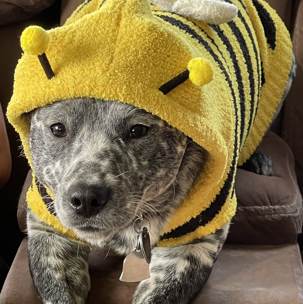 Avatar for @Toxiccoccyx on Greg, the plant care app