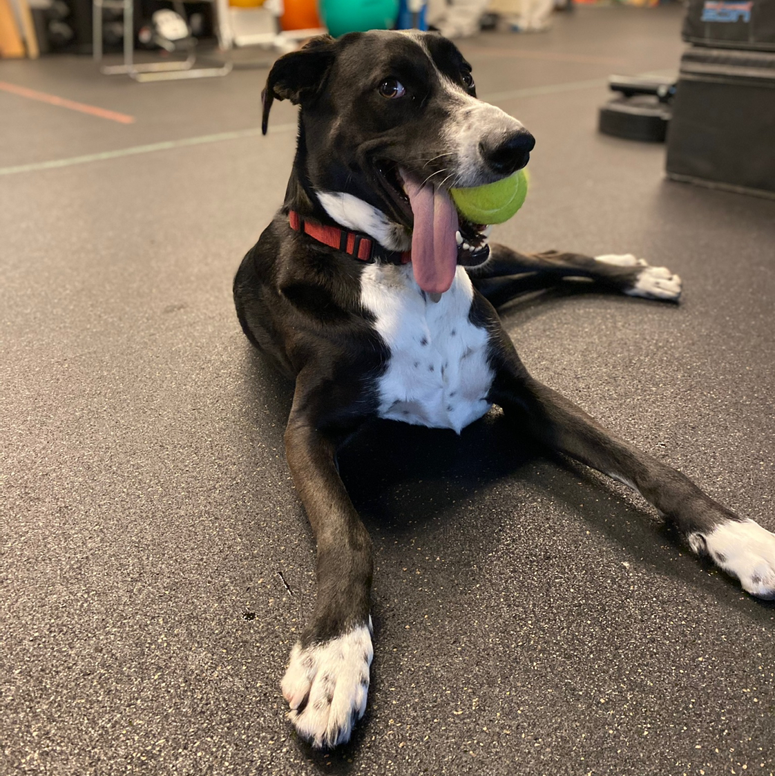 Avatar for @wla1522 on Greg, the plant care app