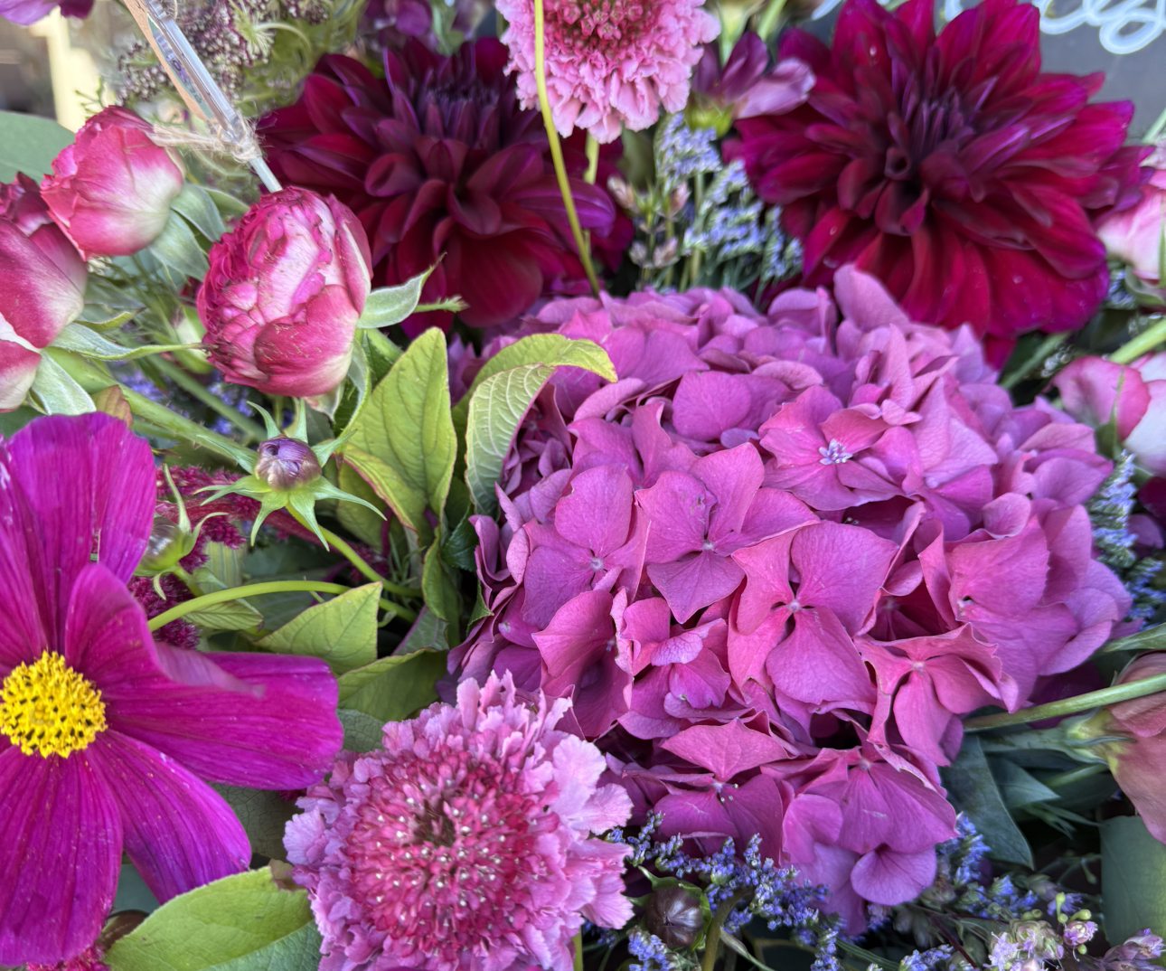 Avatar for @Lululoohoo on Greg, the plant care app