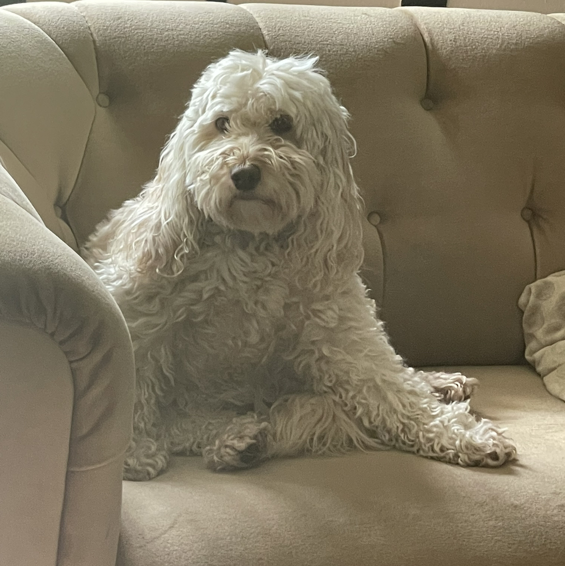 Avatar for @jim on Greg, the plant care app