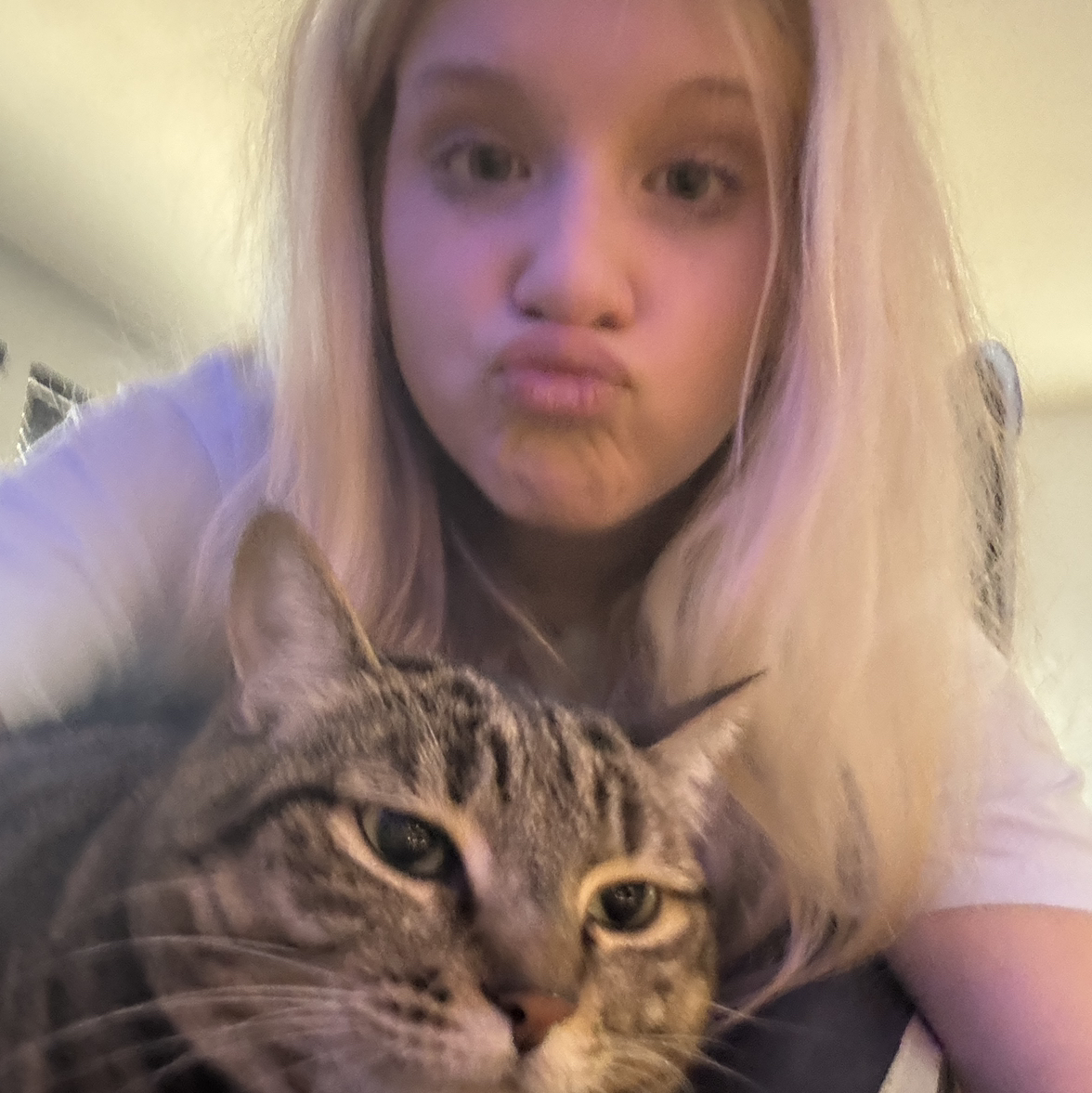@itslillykate