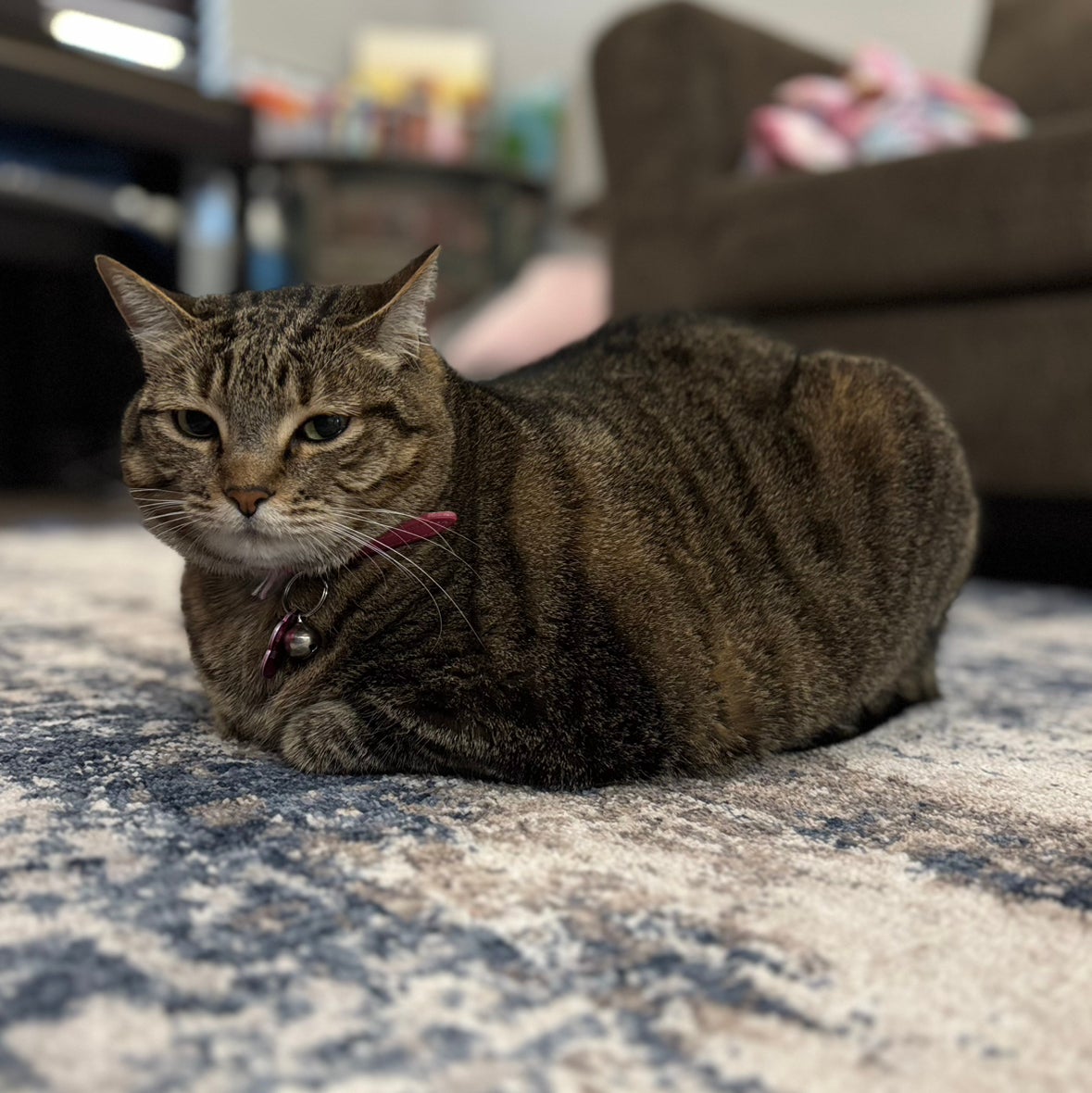 @bigloafofbread avatar