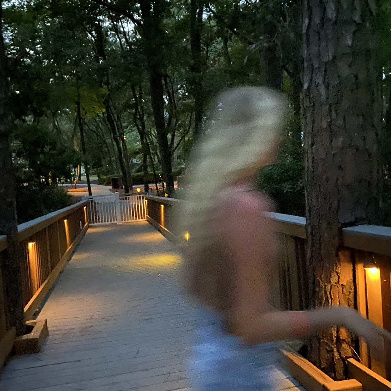 Avatar for @Succulentemie on Greg, the plant care app