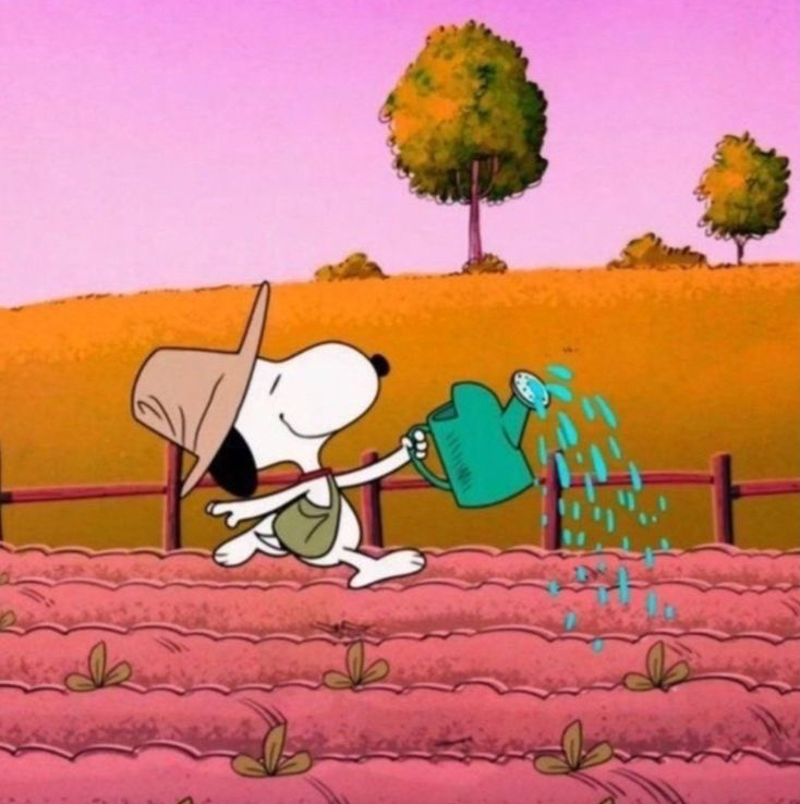 Avatar for @gabmo34 on Greg, the plant care app