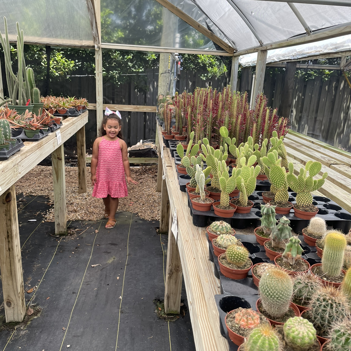 Avatar for @Gina on Greg, the plant care app