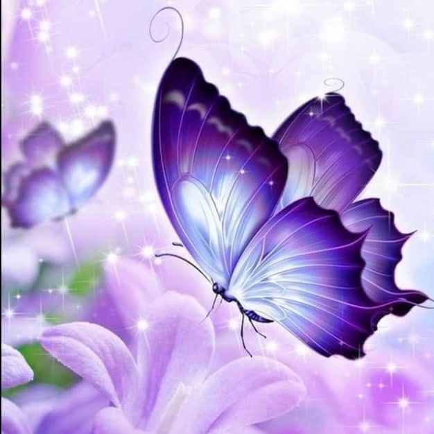 Avatar for @ZarfStargentian on Greg, the plant care app