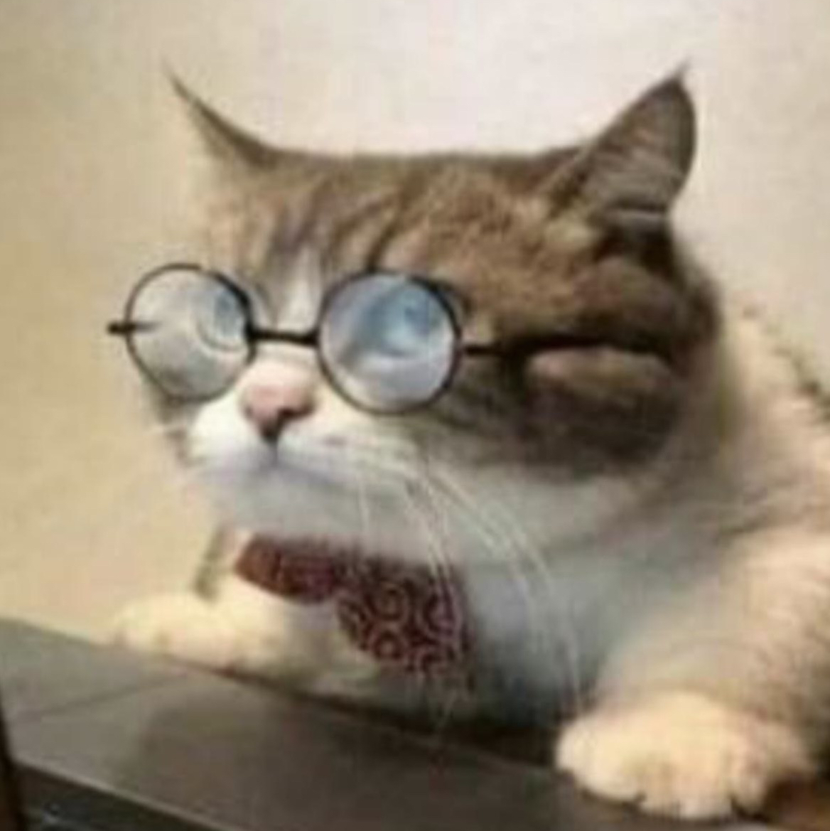 Avatar for @PlanetAnxiety on Greg, the plant care app