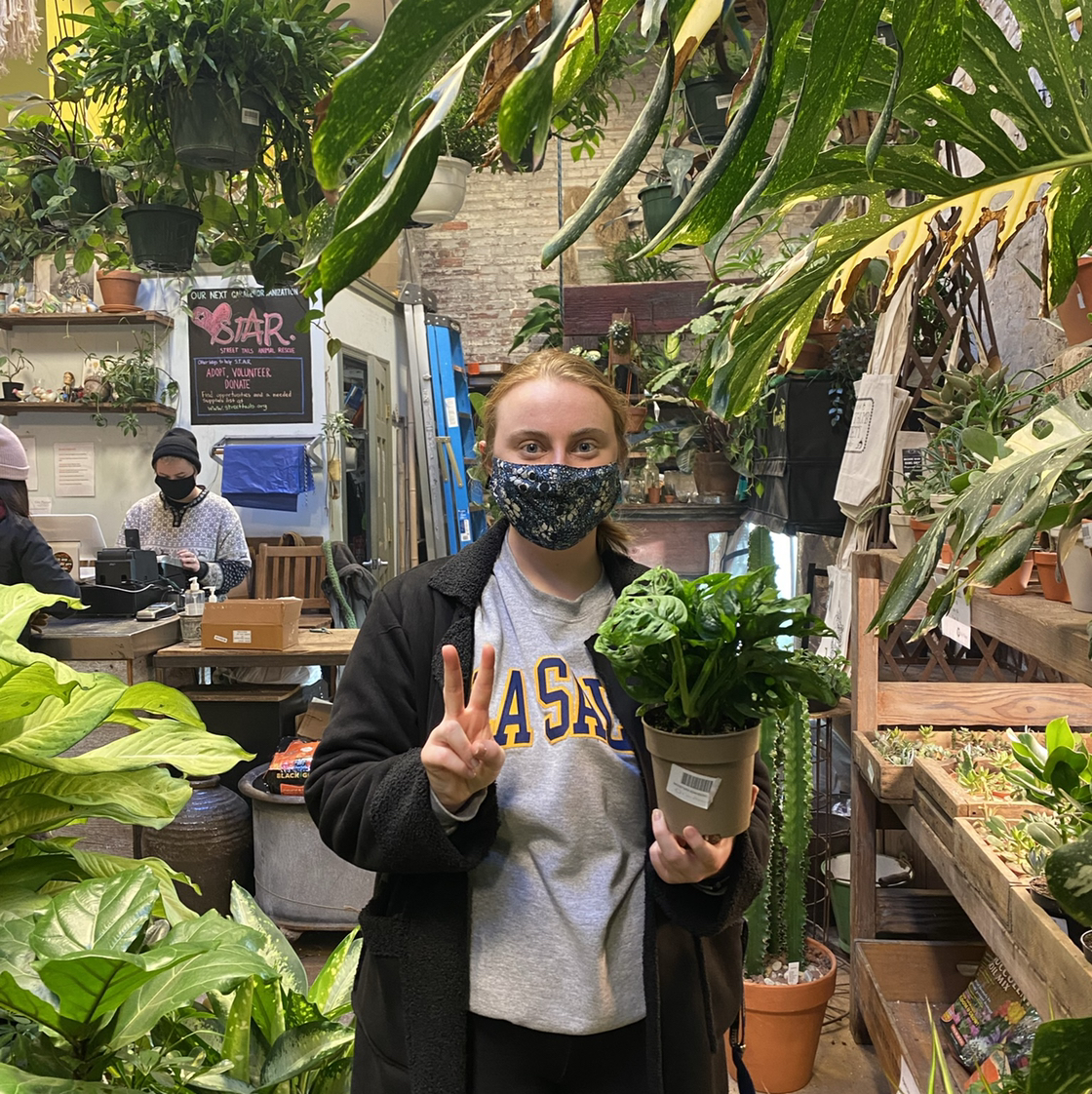Avatar for @sarabeth on Greg, the plant care app