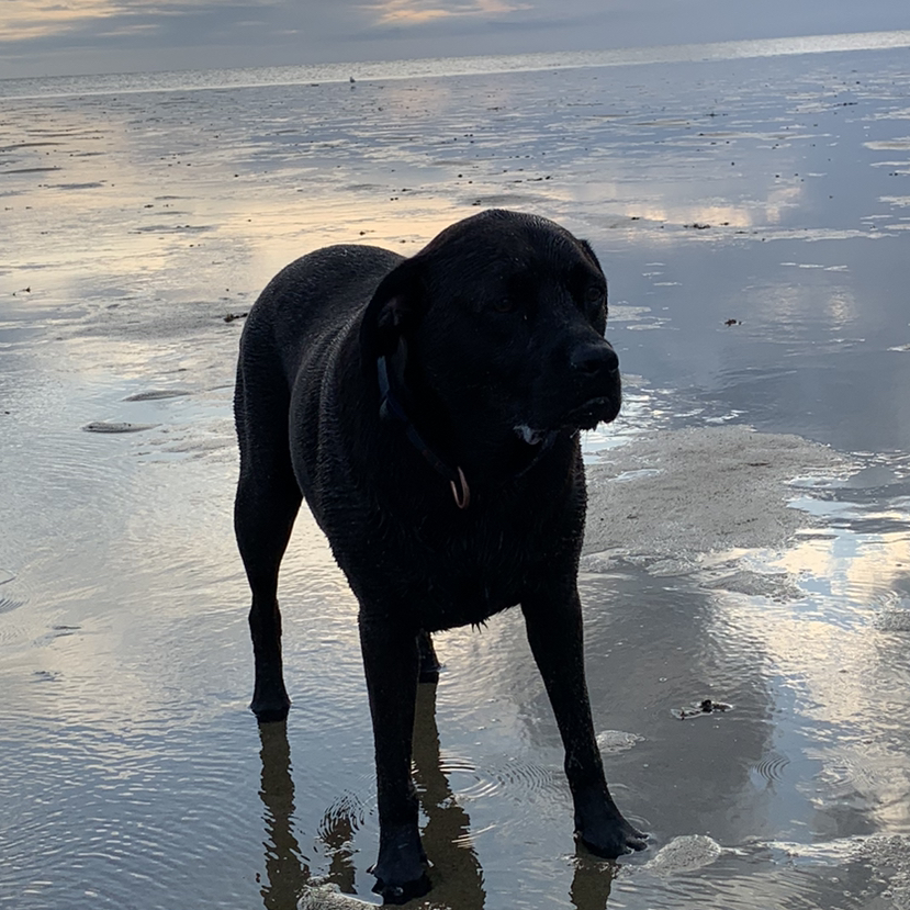 @plantplantplantplant avatar