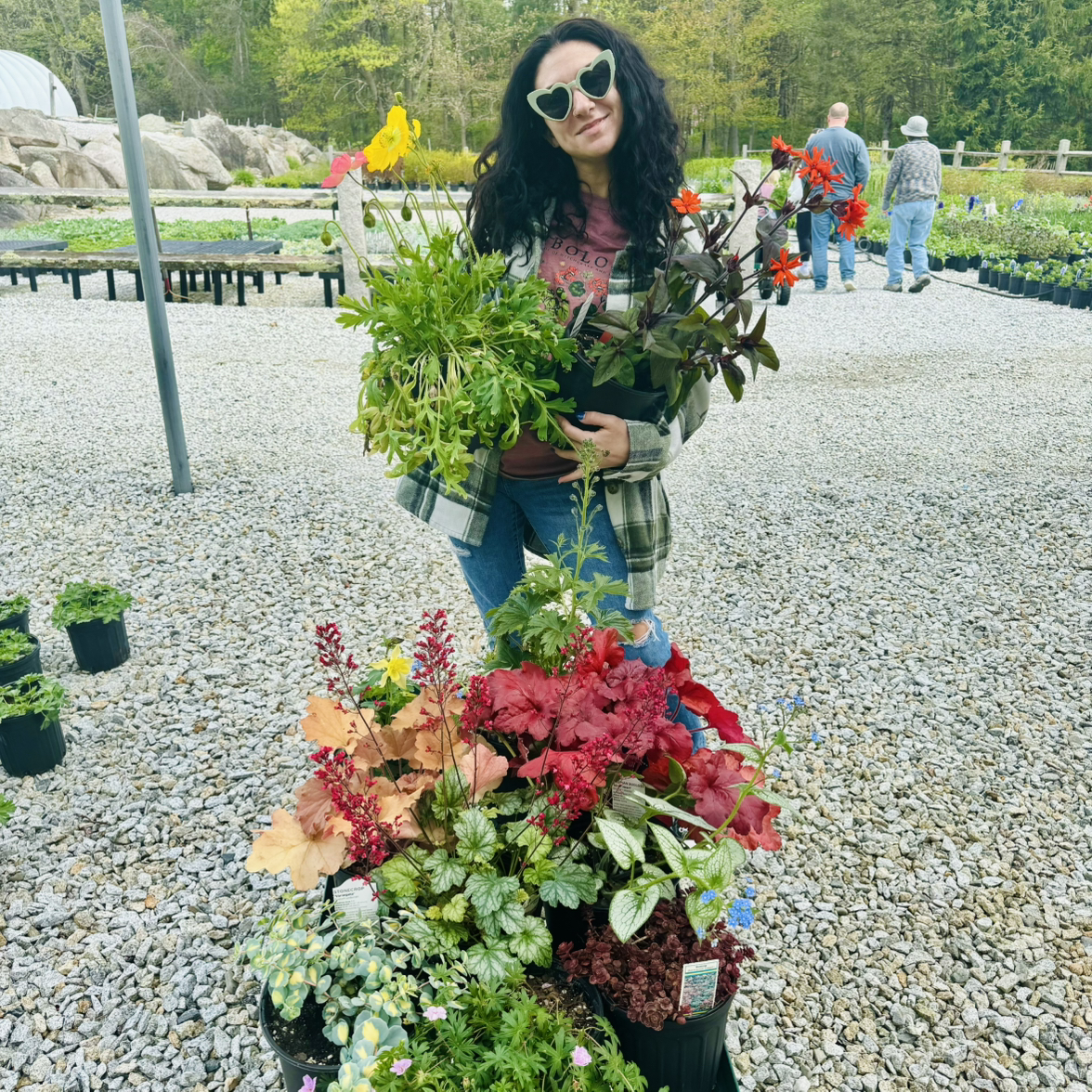 Avatar for @GreenGreek on Greg, the plant care app