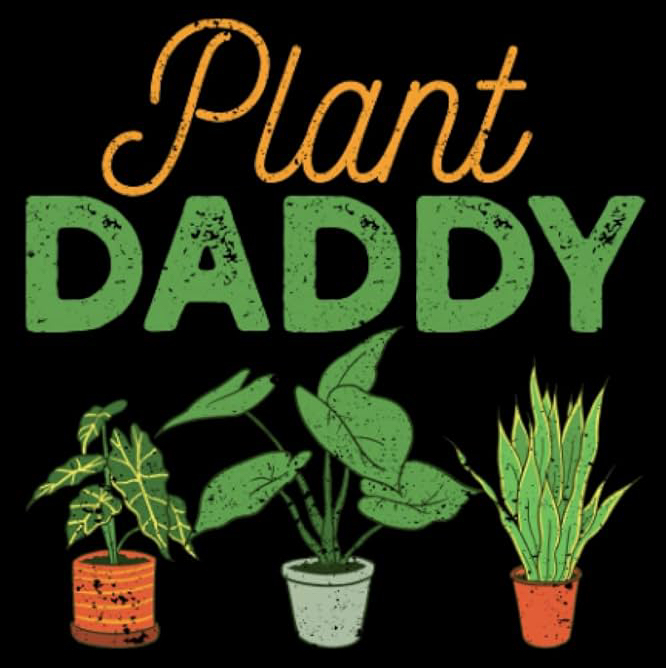 Avatar for @ObiChan on Greg, the plant care app