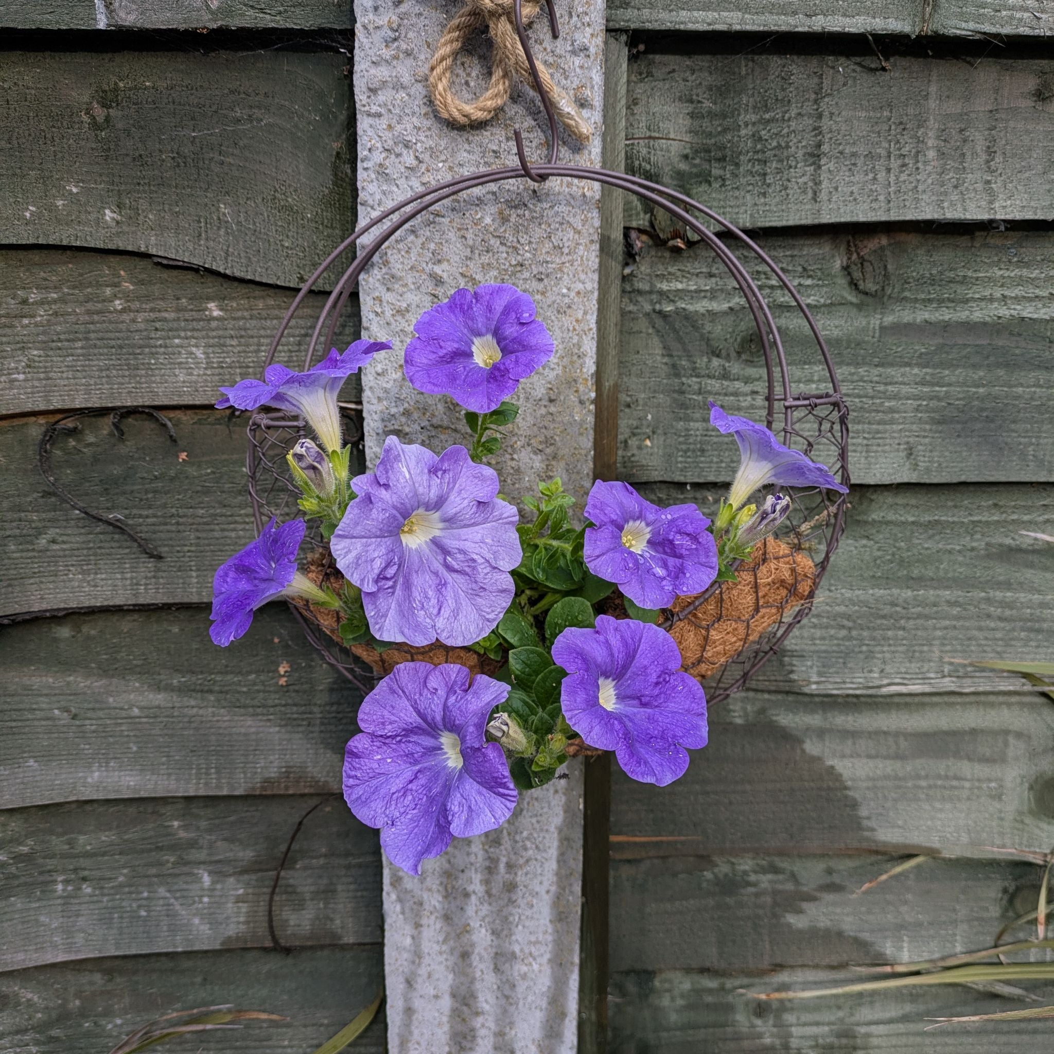 Avatar for @HipWhiterose20 on Greg, the plant care app