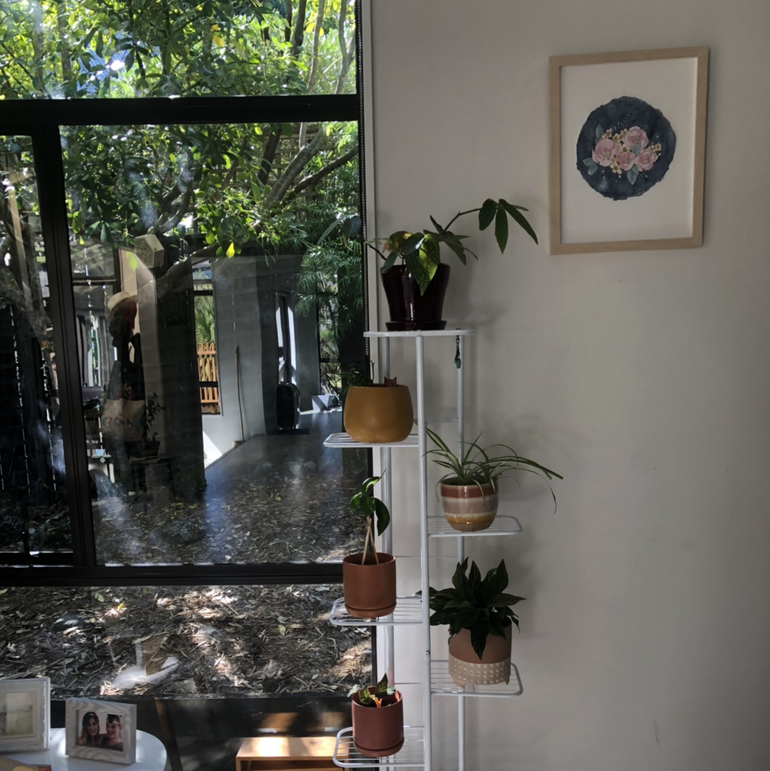 Avatar for @torijk on Greg, the plant care app