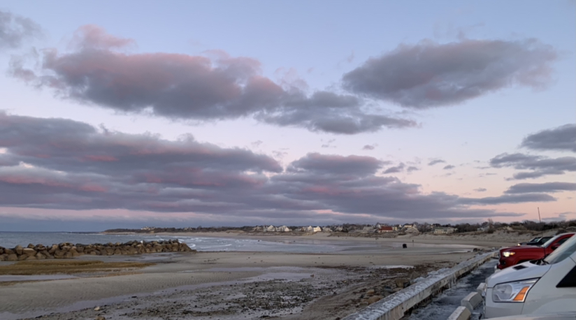 Avatar for Capejettymum on Greg, the plant care app