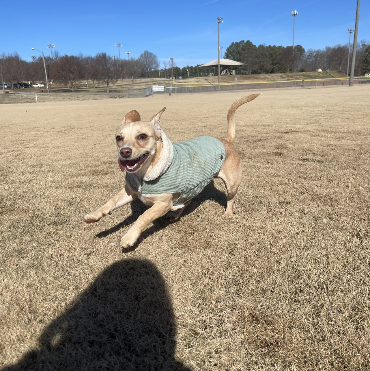 Avatar for @Charlseybattles on Greg, the plant care app