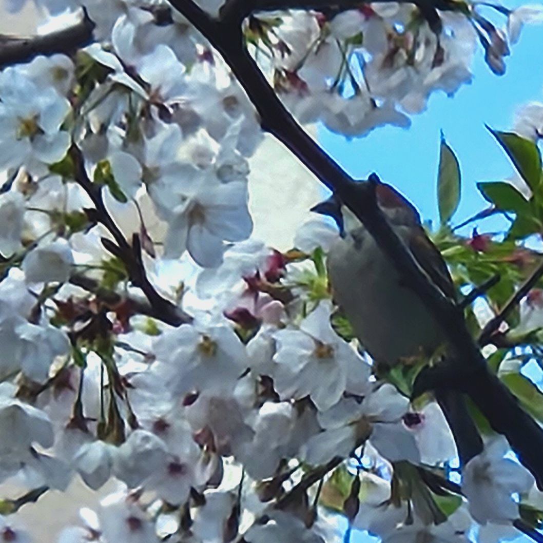 Avatar for @bypu on Greg, the plant care app