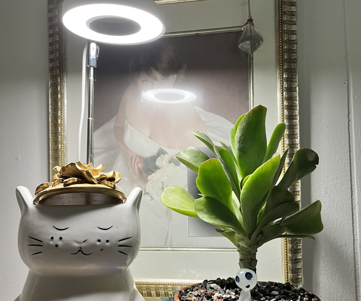 Avatar for @Hannahhemb on Greg, the plant care app