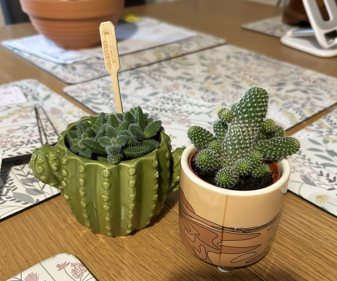 Avatar for @emily.no on Greg, the plant care app