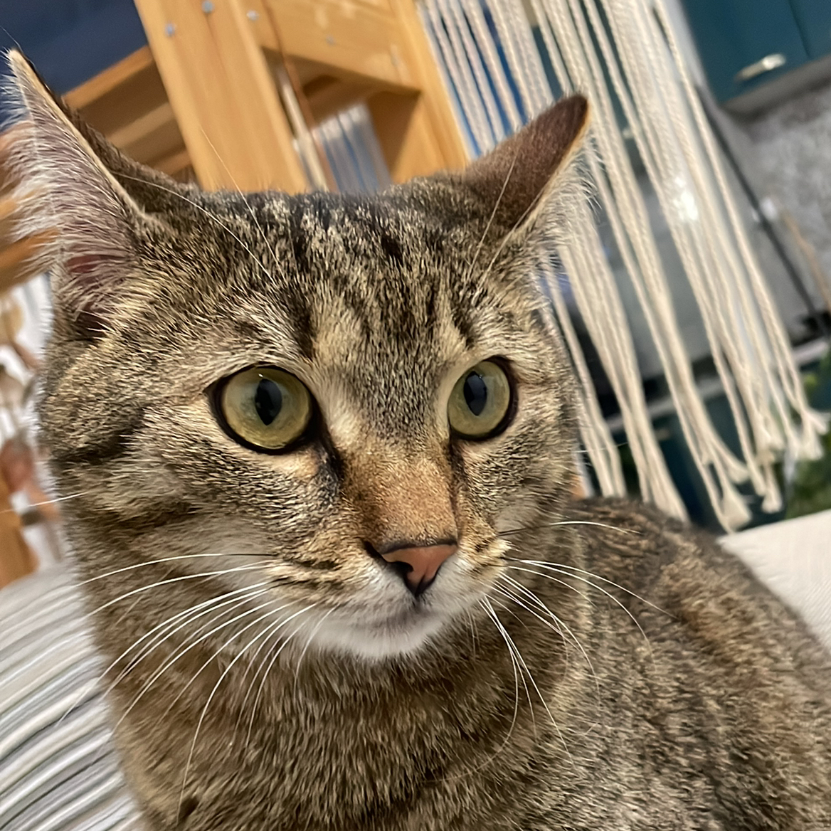 Avatar for @lanadelgay on Greg, the plant care app