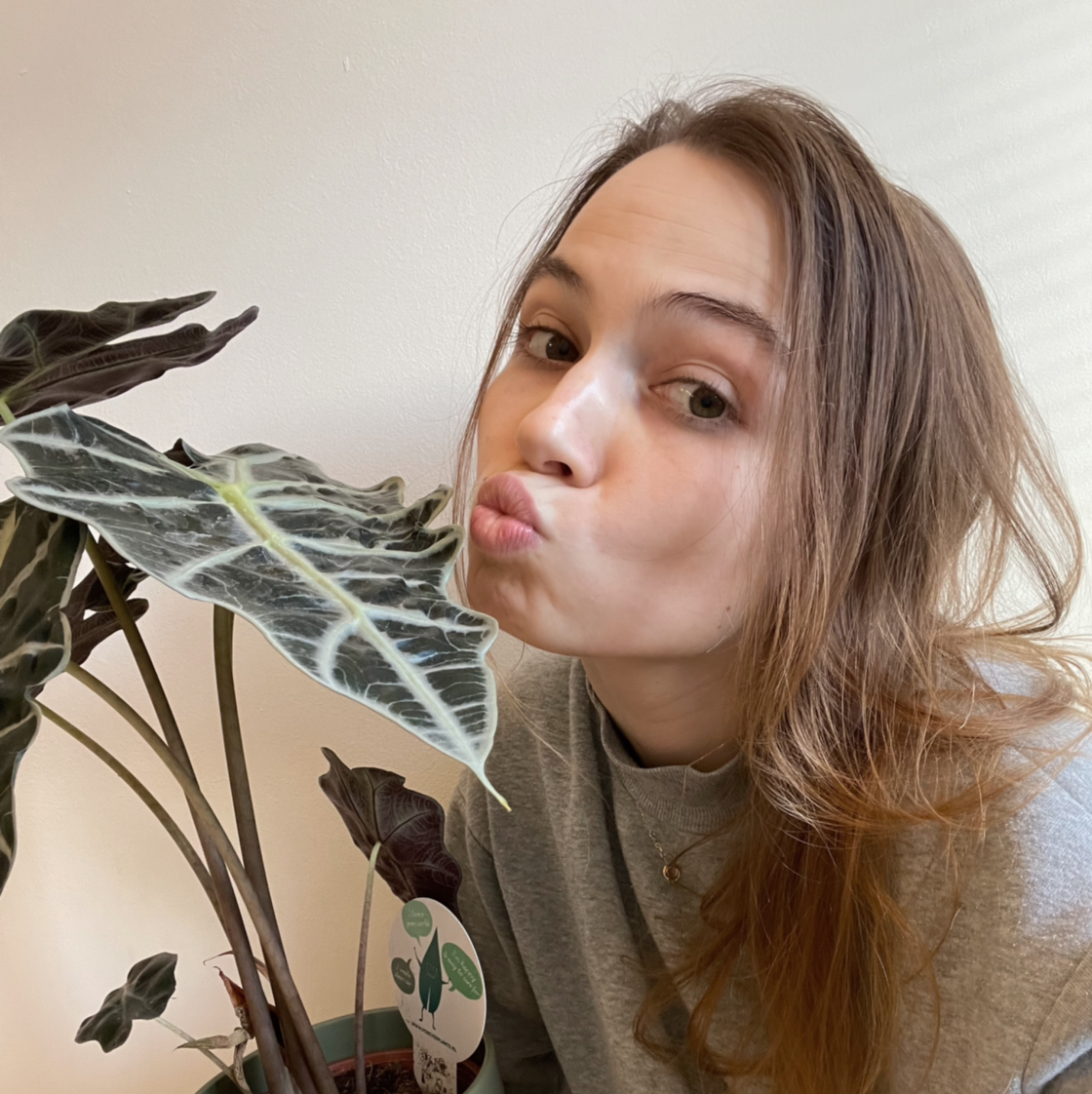 @aprel_studio avatar