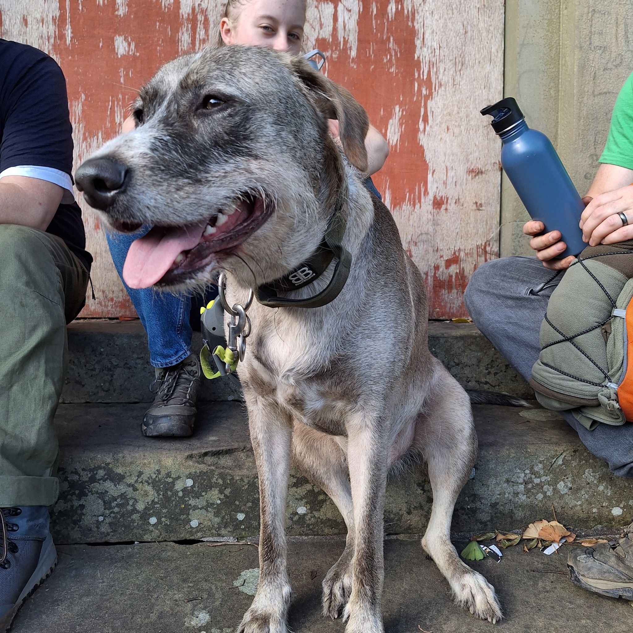 @plantsandhappy avatar