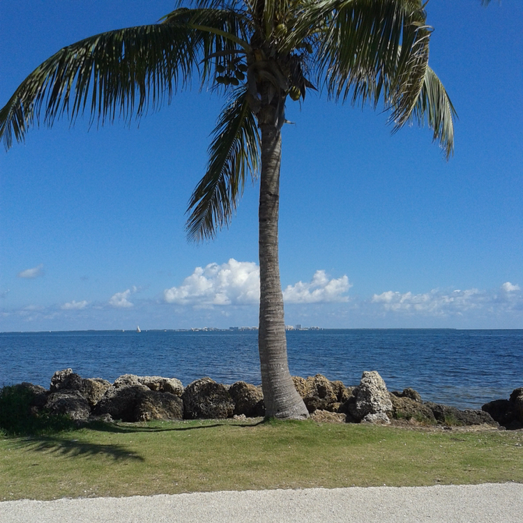 Avatar for @BitaS2003 on Greg, the plant care app