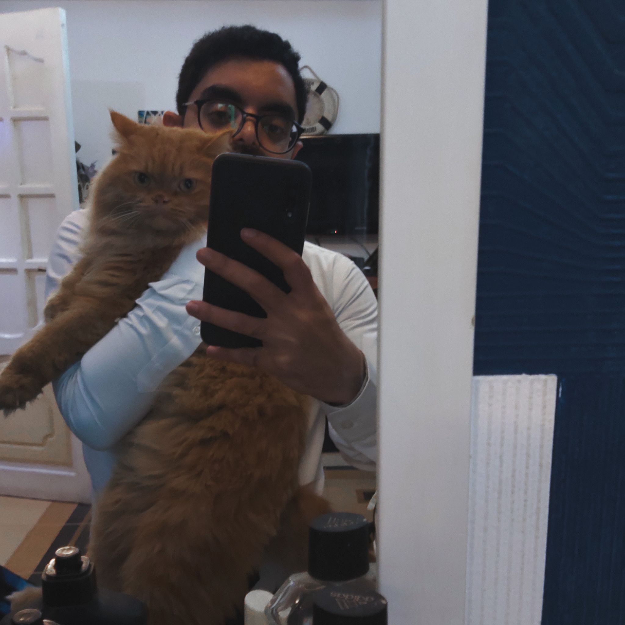 @youssefoasis